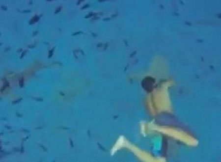 سباح يعانق سمكة قرش