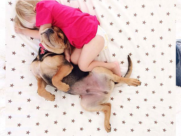 بالصور.. علاقة صداقة قوية تجمع طفل وكلبه تظهر أثناء نومهما