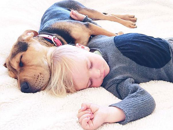 بالصور.. علاقة صداقة قوية تجمع طفل وكلبه تظهر أثناء نومهما