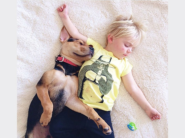 بالصور.. علاقة صداقة قوية تجمع طفل وكلبه تظهر أثناء نومهما