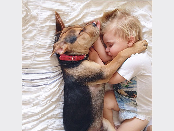 بالصور.. علاقة صداقة قوية تجمع طفل وكلبه تظهر أثناء نومهما