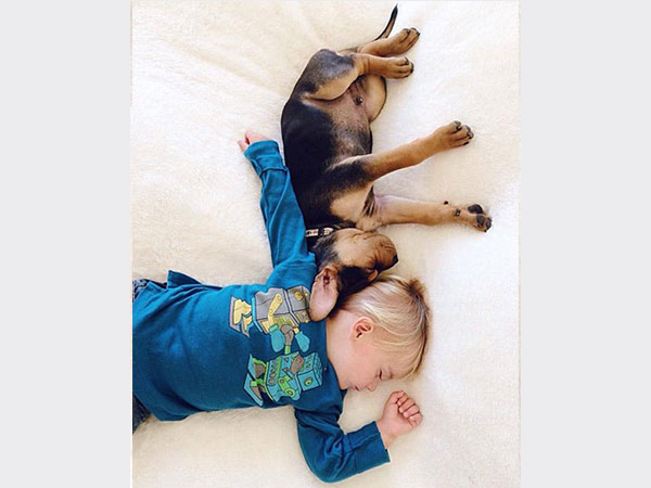 بالصور.. علاقة صداقة قوية تجمع طفل وكلبه تظهر أثناء نومهما