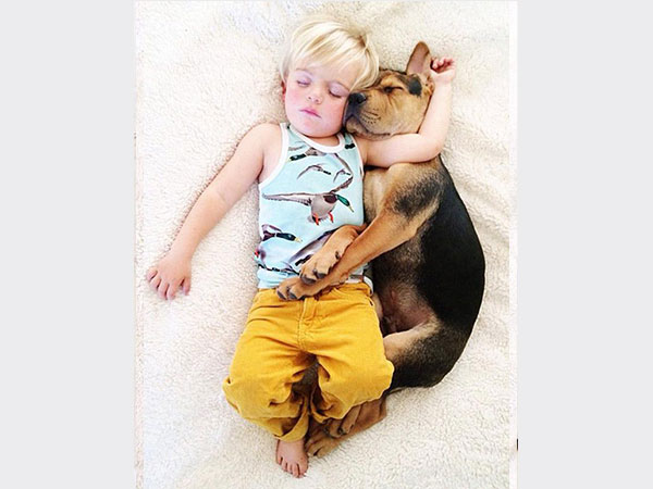 بالصور.. علاقة صداقة قوية تجمع طفل وكلبه تظهر أثناء نومهما