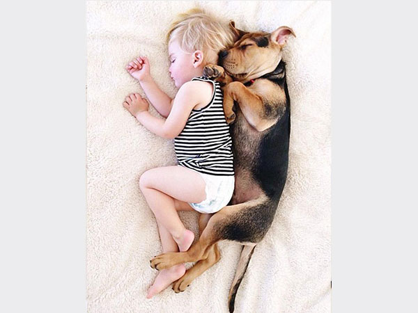 بالصور.. علاقة صداقة قوية تجمع طفل وكلبه تظهر أثناء نومهما
