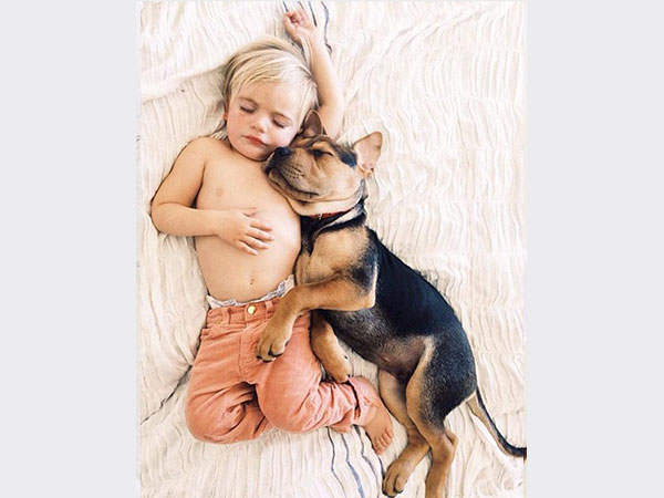 بالصور.. علاقة صداقة قوية تجمع طفل وكلبه تظهر أثناء نومهما