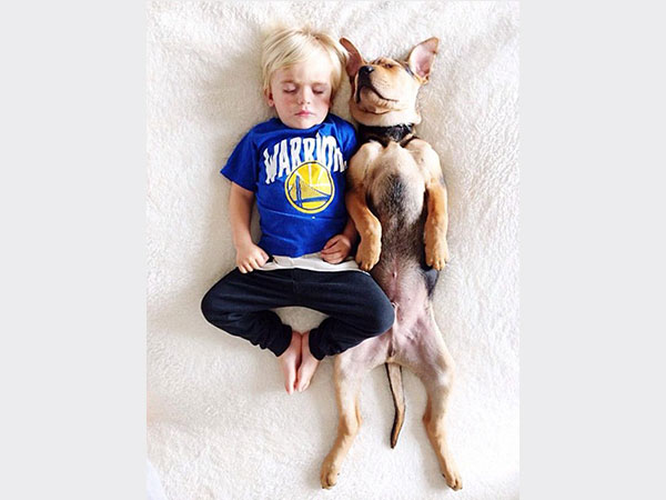 بالصور.. علاقة صداقة قوية تجمع طفل وكلبه تظهر أثناء نومهما