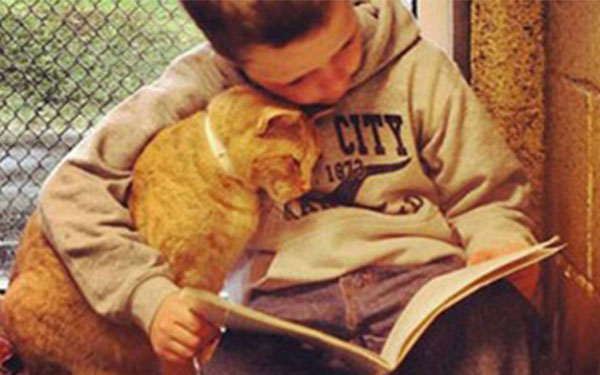 بالصور.. أطفال يقرؤون للقطط لتحسين مهاراتهم فى القراءة