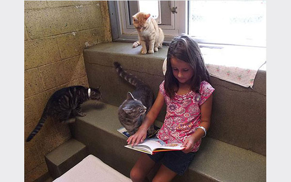 بالصور.. أطفال يقرؤون للقطط لتحسين مهاراتهم فى القراءة