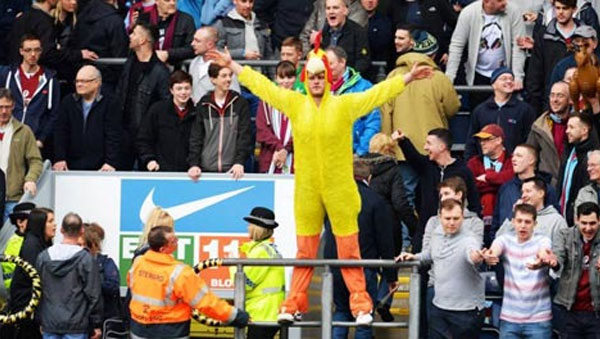 دجاجة بيرنلي