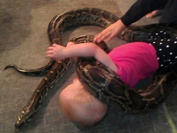 طفلة تلهو مع ثعبان