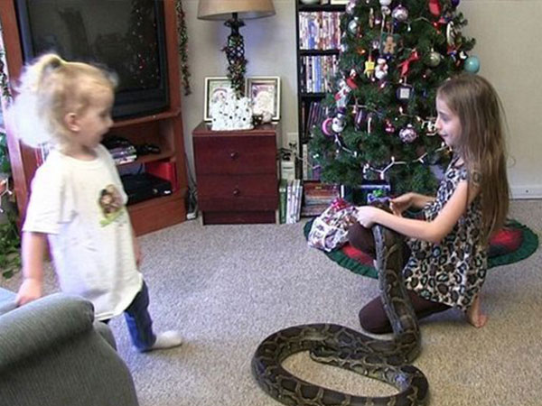 طفلة تلهو مع ثعبان