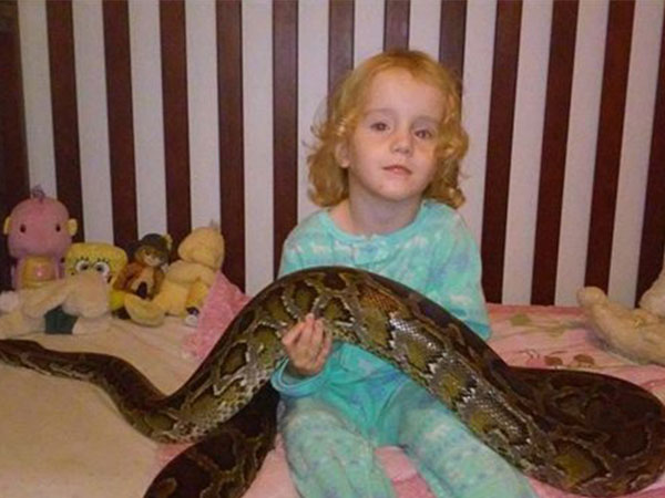 طفلة تلهو مع ثعبان