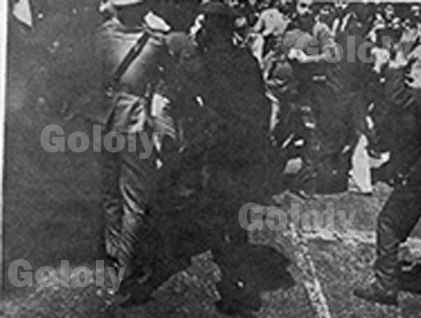 عبدالحليم حافظ‎