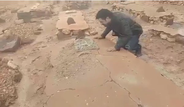 ربيع القاطي