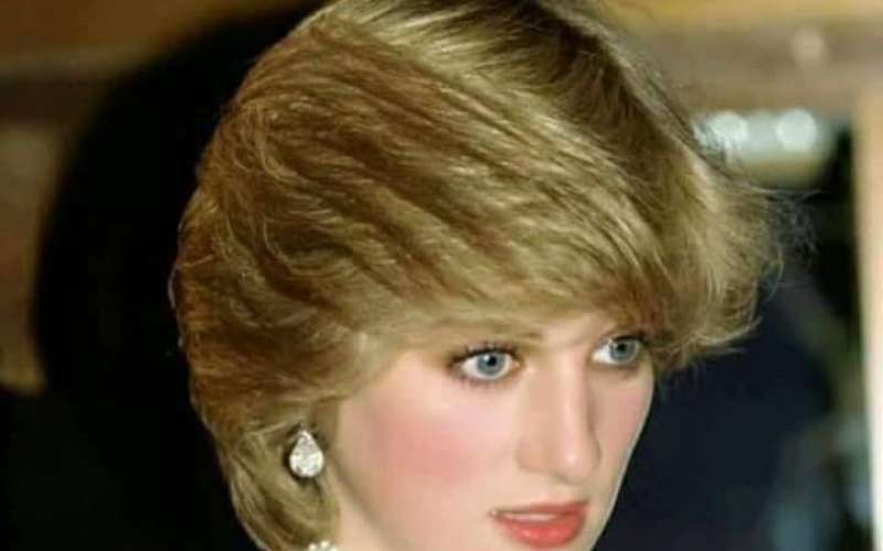 الأميرة ديانا