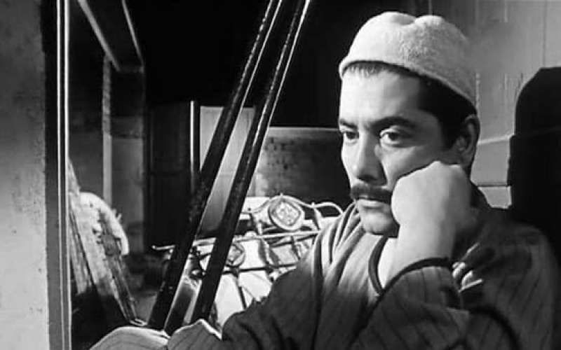 شكري سرحان
